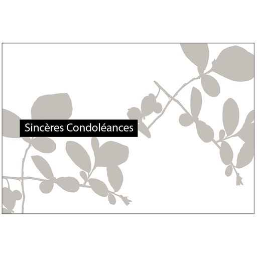 [PFR006] Sincères Condoléances