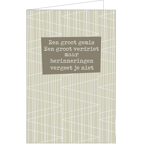 [MM1146] een groot gemis een groot verdriet maar herinneringen vergeet je niet