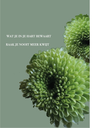 [MM1155] wat je in je hart bewaart raak je nooit meer kwijt