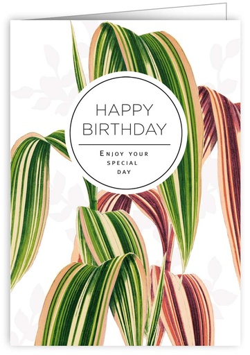 [BOT464] Happy birthday enjoy your special day 