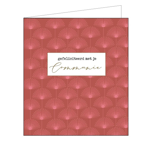 [CC088] gefeliciteerd met je communie