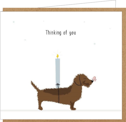 [ME029] thinking of you