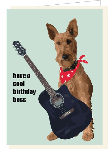 [SF4202] have a cool birthday boss