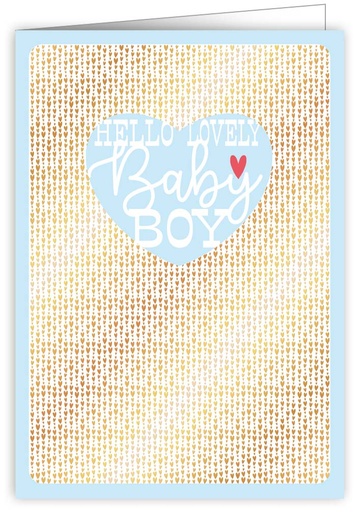 [FES2729] hello lovely baby boy
