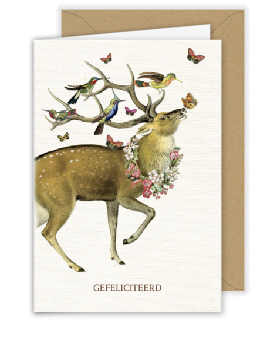 [A065] Gefeliciteerd