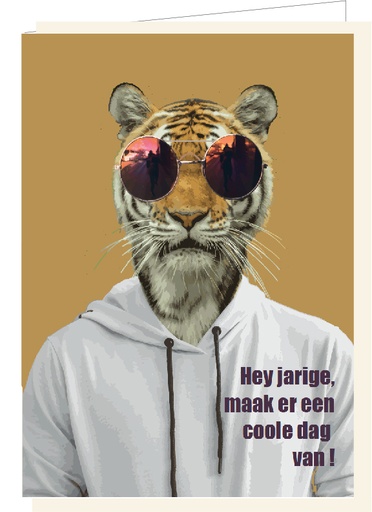 [SF4225] Hey jarige, maak er een coole dag van