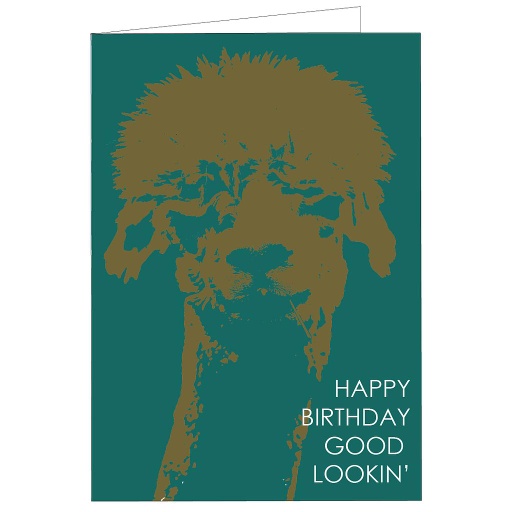 [TL059] Happy Birthday Good Lookin'