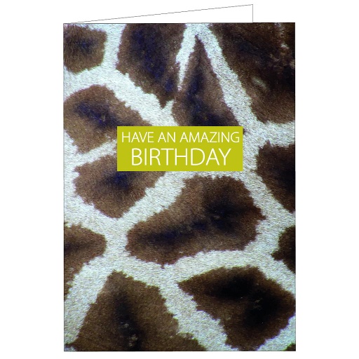 [TL062] Have an amazing Birthday