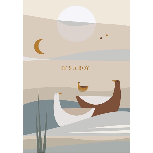 [SR006] it's a boy