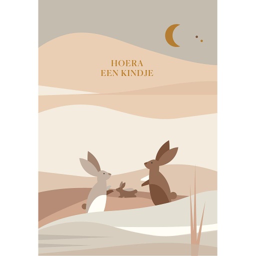 [SR010] hoera, een kindje