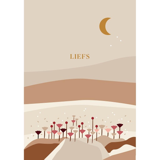 [SR018] liefs