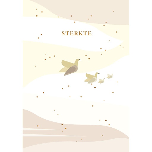 [SR031] sterkte