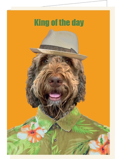[SF4229] King of the day