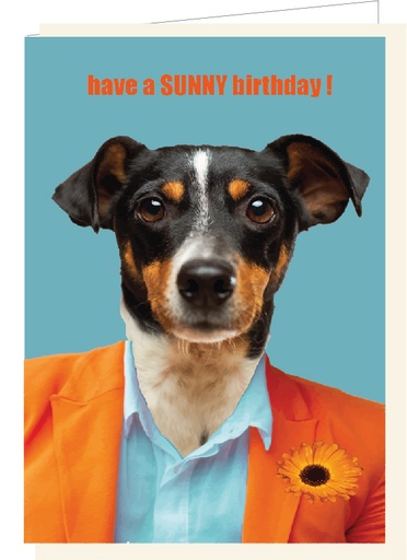 [SF4203] Have a SUNNY birthday