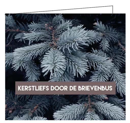 [XM017] kerstliefs door de brievenbus