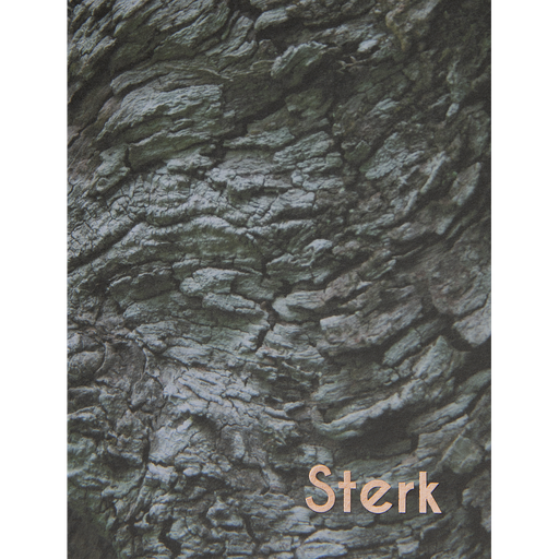 [ND03] Sterk