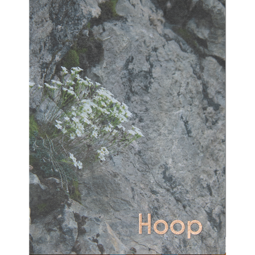 [AT04] Hoop