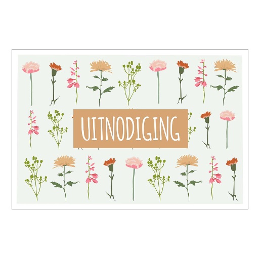 [P100] Droogbloemen