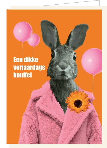 [SF4234] Een dikke verjaardagsknuffel