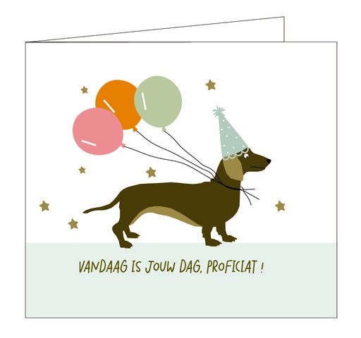 [C103] Vandaag is jouw dag ! Proficiat