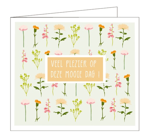 [C105] Veel plezier op deze mooie dag !