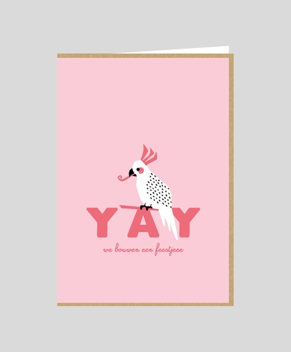 [COCO001] YAY, we bouwen een feestje !