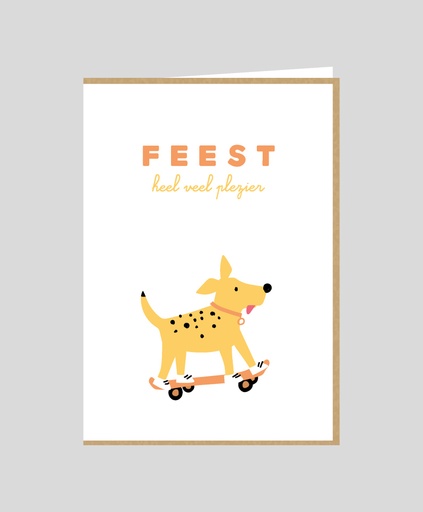 [COCO029] Feest ! Heel veel plezier