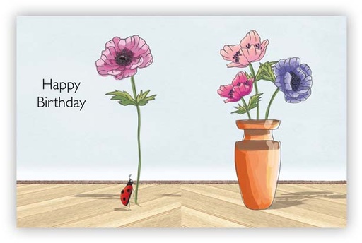 [SUR5110] Happy Birthday