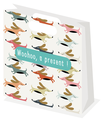 [LX006F] Woohoo, a present