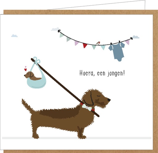 [ME062] Hoera, een jongen !