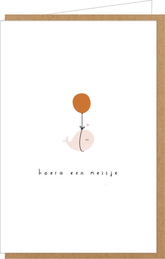 [AE069] Hoera een meisje