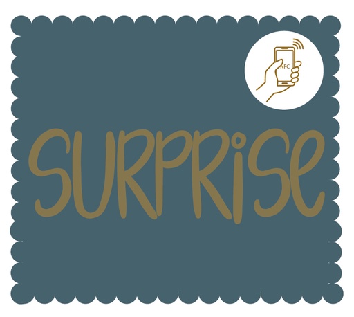[TC002] Surprise