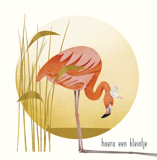 [VV002] Hoera, een kleintje