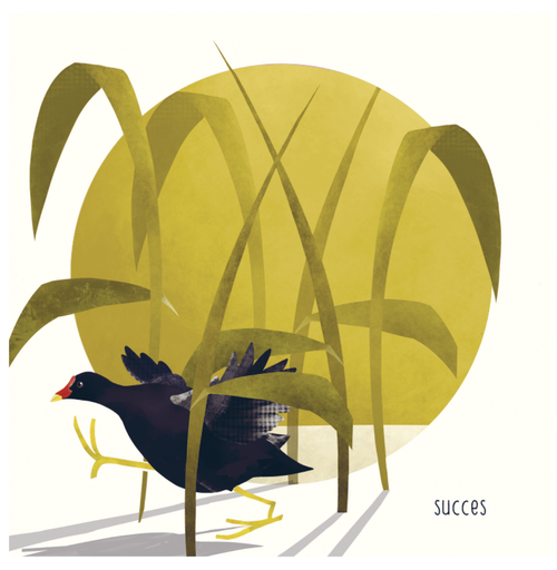 [VV015] Succes