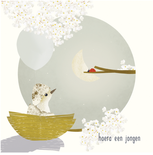 [VV027] Hoera, een jongen