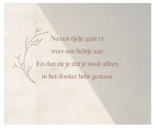 [EL1012] Na een tijdje gaat er weer een lichtje aan