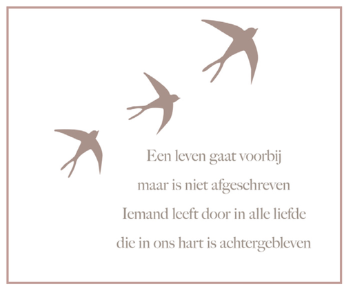 [EL1021] Een leven gaat voorbij maar is niet afgeschreven
