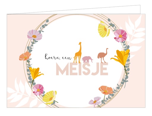 [WM064] Hoera, een meisje