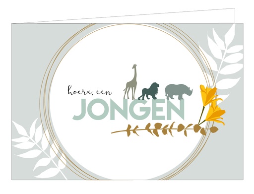 [WM063] Hoera, een jongen
