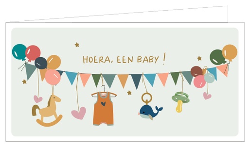 [SAM00698] Hoera, een baby !