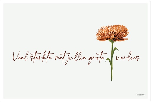 [PR059] Veel sterkte met jullie grote verlies