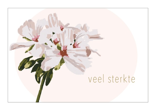 [PR060] Veel sterkte