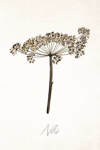 [NDB07] Notebook A 5 Klein Days of bloom