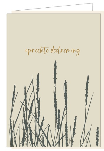 [MM1102] Oprechte deelneming