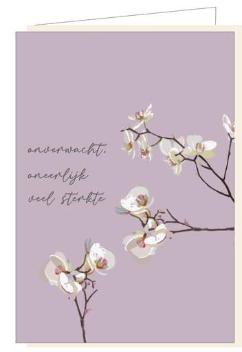 [MM1111] Onverwacht, oneerlijk  veel sterkte