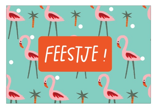 [P049] Feestje !