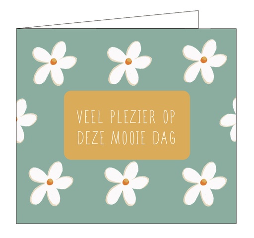 [C084] Veel plezier op deze mooie dag