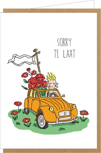 [BAB031] Sorry te laat