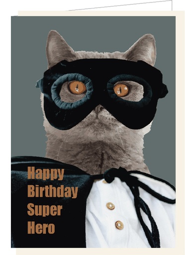 [SF4250] Happy Birthday super hero