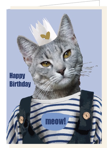 [SF4252] Happy Birthday ! Meow!
